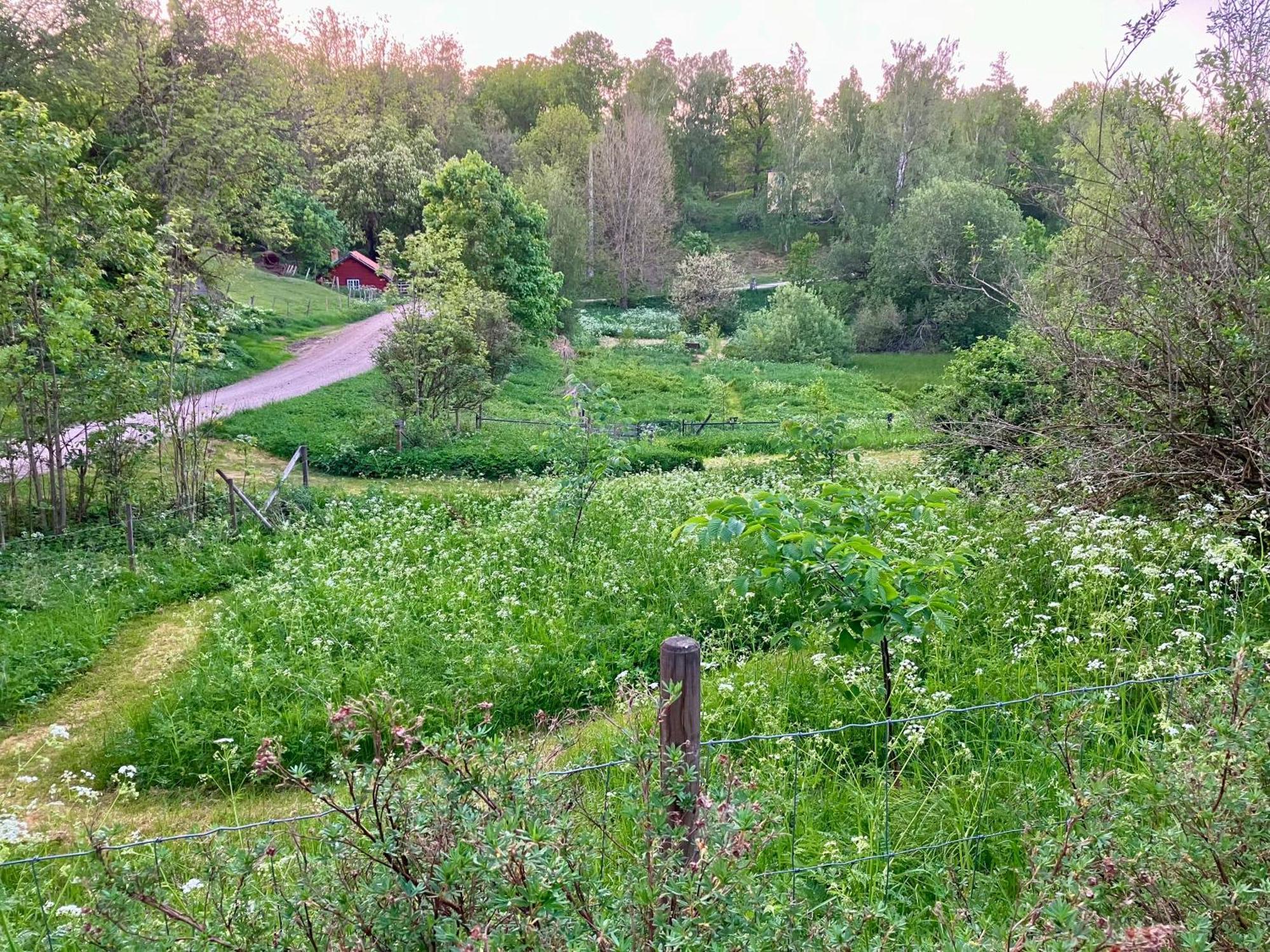 Lidhem Herrgard. Bed & Breakfast Och Mindre Laegenheter Vimmerby Ngoại thất bức ảnh
